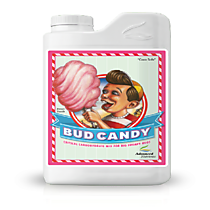 Bud Candy 250 mL 