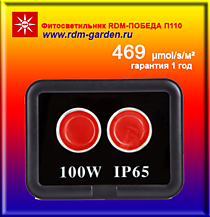 RDM-ПОБЕДА  «П» 110